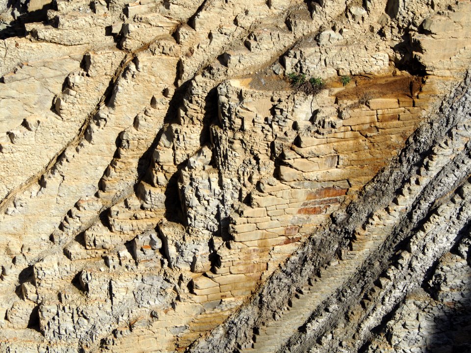 Flysch (San Telmo, Zumaia)