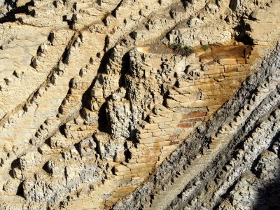 Flysch (San Telmo, Zumaia) photo