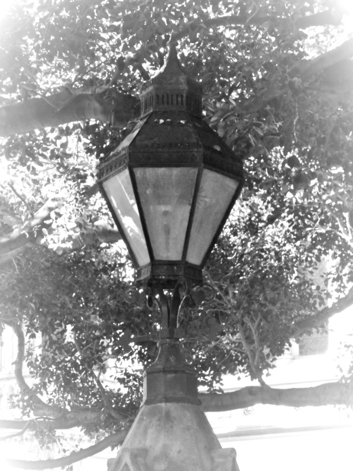 Lamp photo