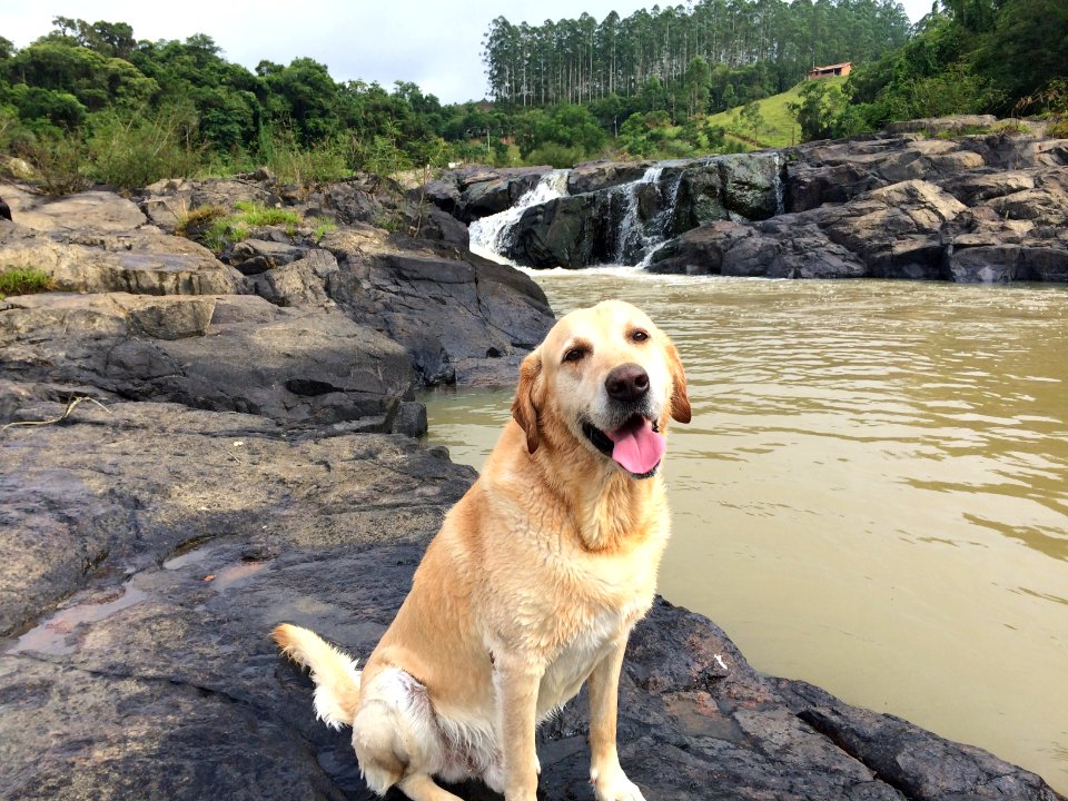 Duke tomando um banho de cachoeira no Rafael Baixo, em Ibirama - SC.