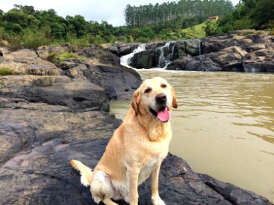 Duke tomando um banho de cachoeira no Rafael Baixo, em Ibirama - SC.