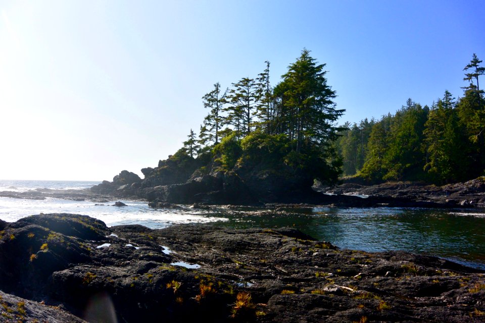 Port Renfrew, Vancouver Island