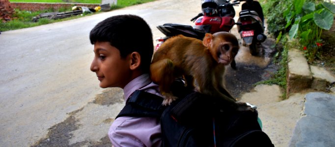 Nany making new freinds