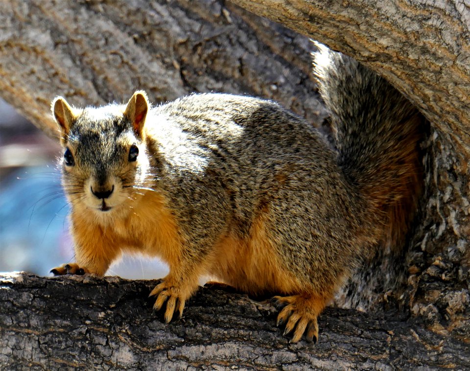 "What you lookin' at, Mister?!