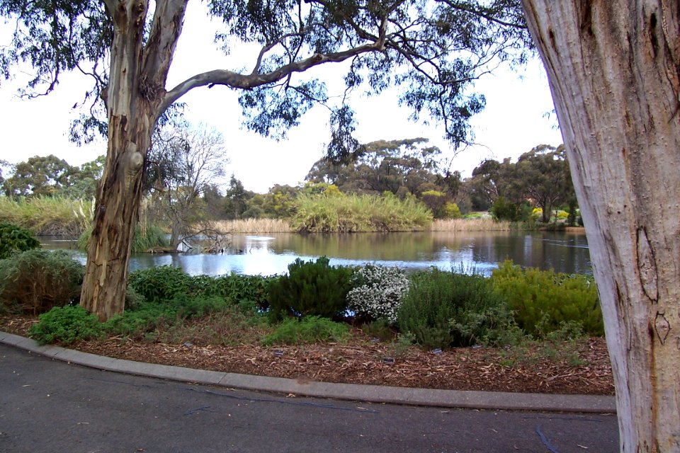 Wittunga Botanical Gardens