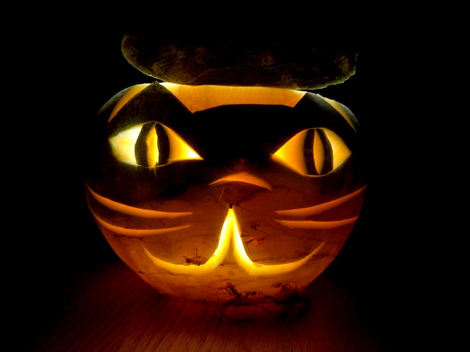 Hop tu Naa cat turnip