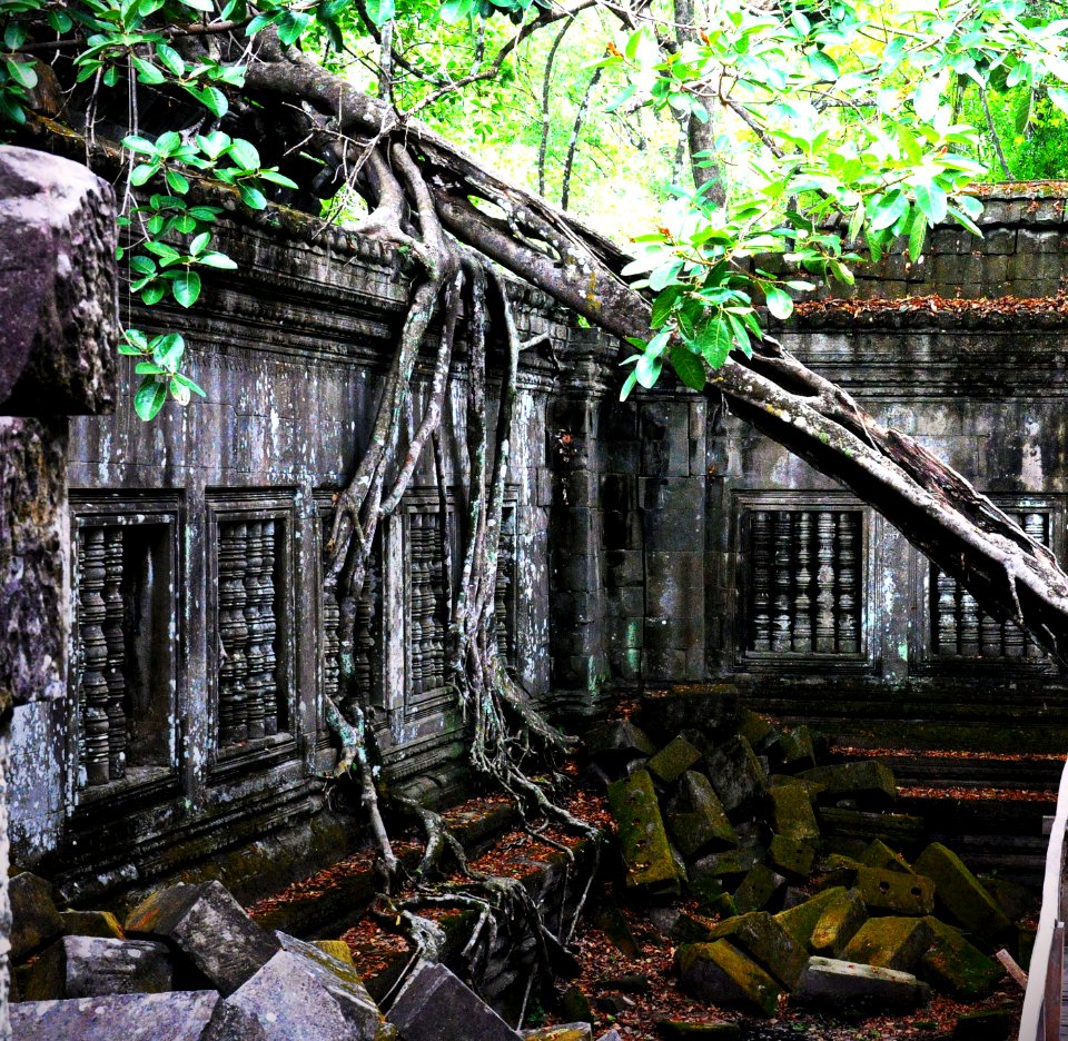 Beng mealea temple, cambodia