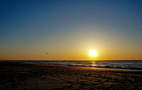Chincoteague Island, Virginia