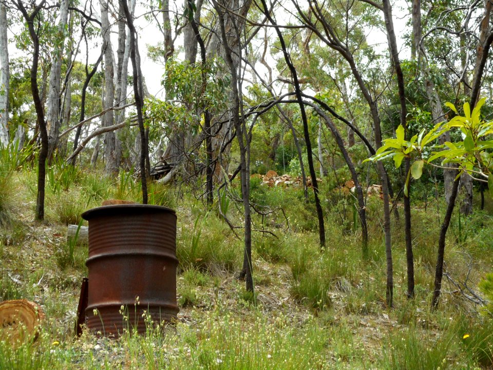 Backyard, Upper Sturt