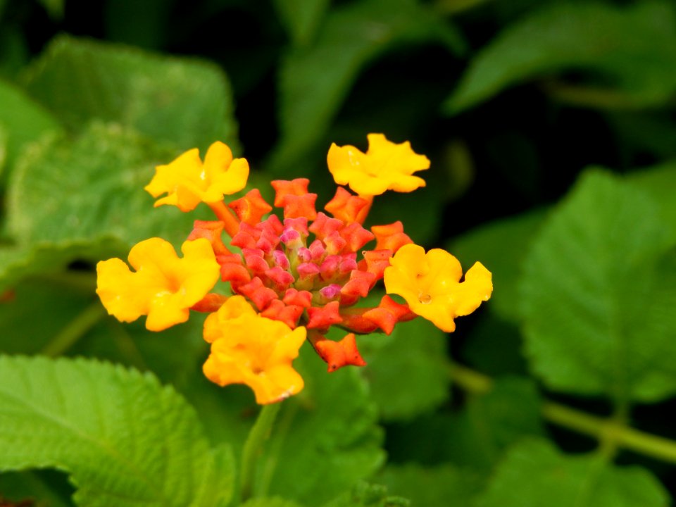 DSCN1599