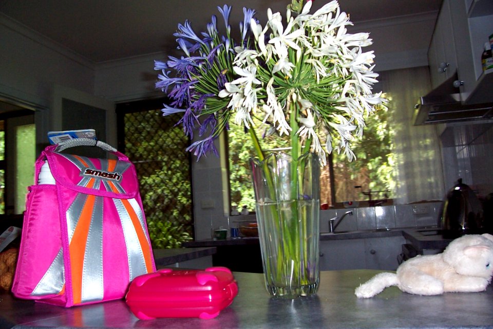 Still life with lunchbox and kitten.