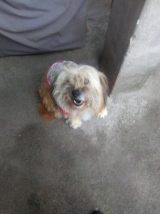 Bonita 3