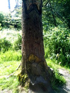 Tree carving Blaydon