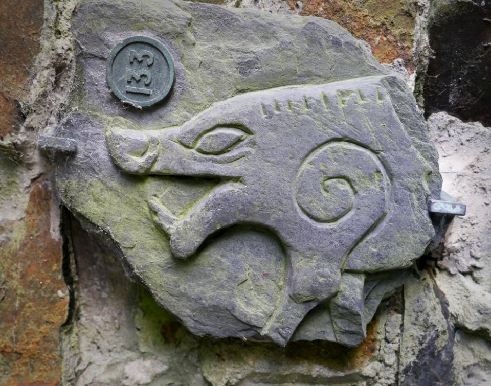 A Manx Wild Boar on Maughold Cross 133