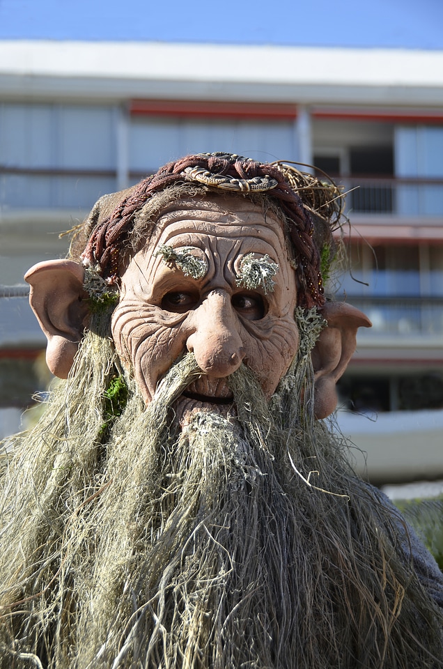 Carnival head beard