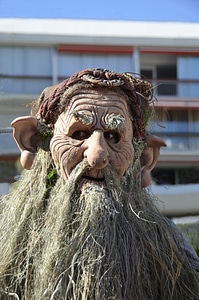 Carnival head beard
