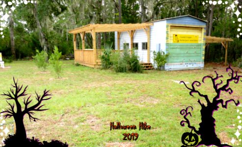 Bee House