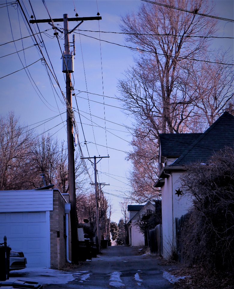 A Quiet Alley