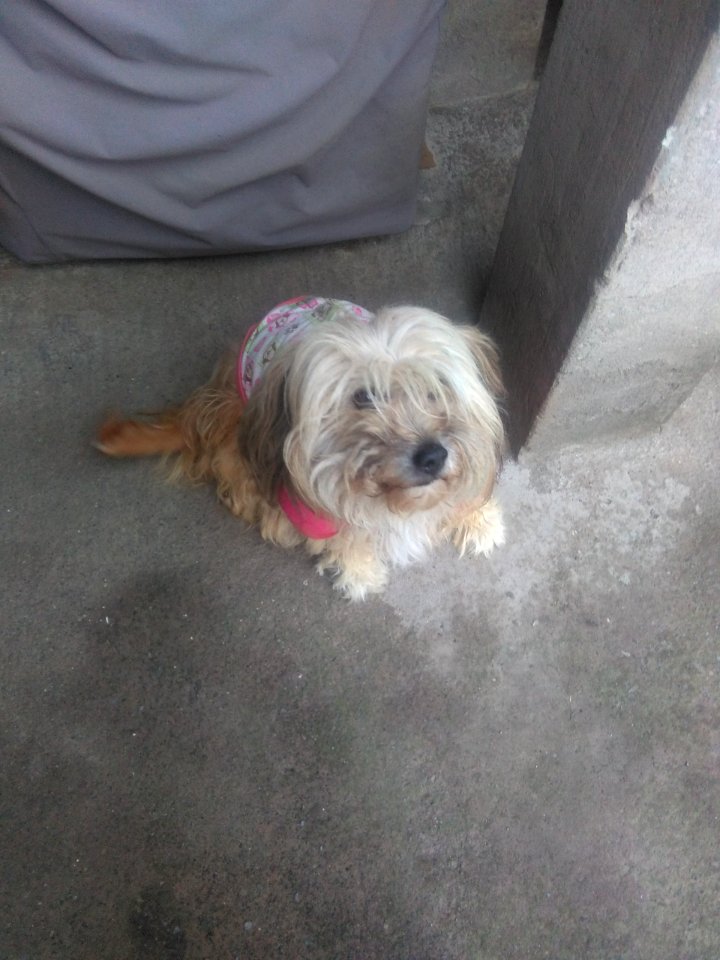 La Bonita
