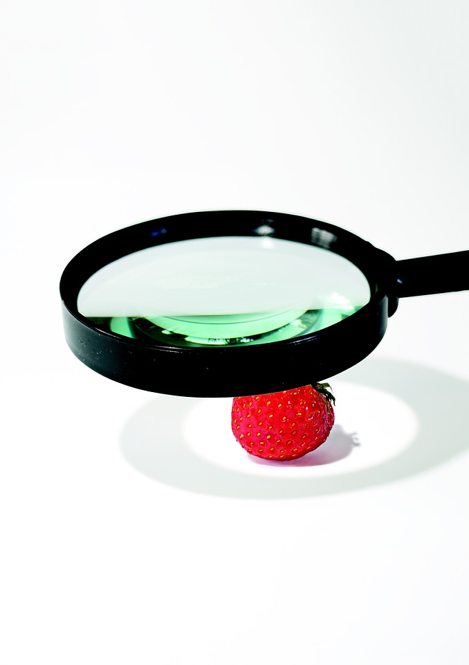 Strawberry the magnifying glass research