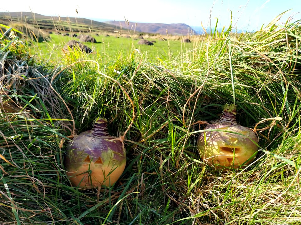 Hop tu Naa turnip lantern (Hayley Corlettbrophy 2019a)