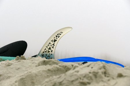 Shark toothFin- P1880372