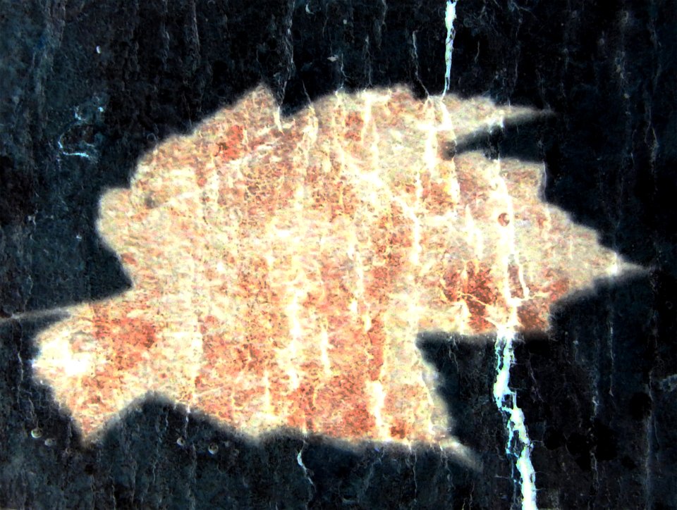 DSCN1183