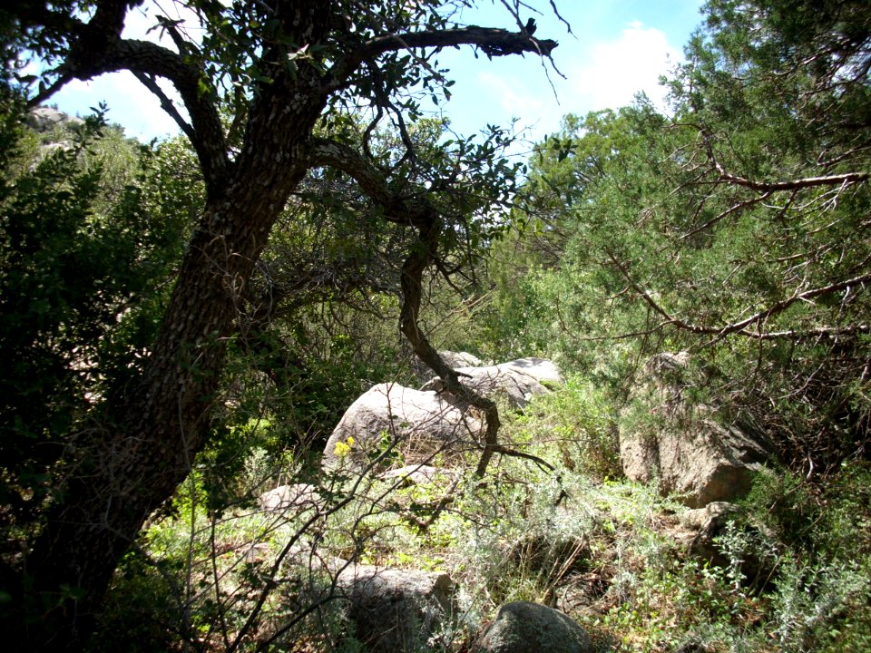 organ mountains-desert peaks national monument 12