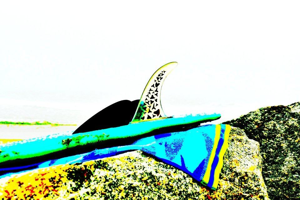 shark tooth fin-artsy-P1880377