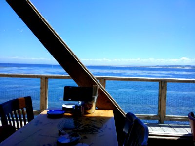 bubba gump 5