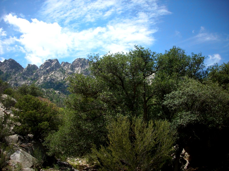 organ mountains-desert peaks national monument 22