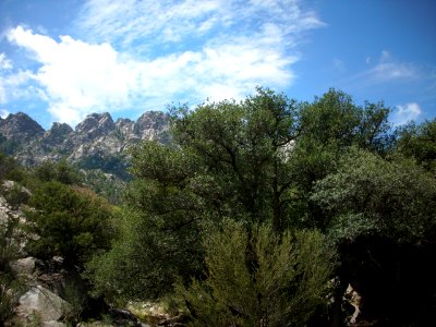 organ mountains-desert peaks national monument 22