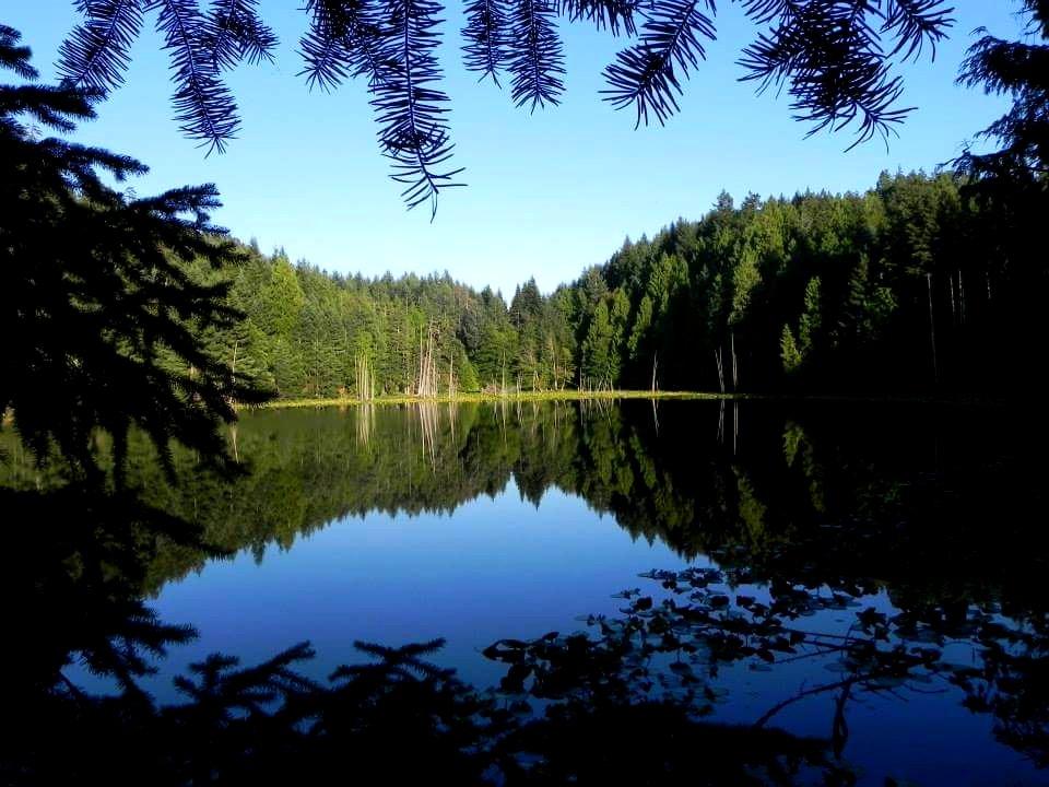 Lake in pender Island Canada (2)