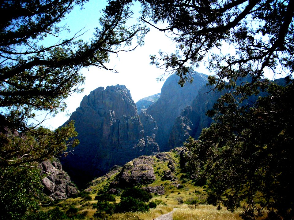 dripping springs