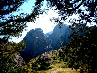 dripping springs