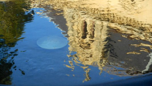 State Library of South Australia, reflected in the Barr Smith Fountain