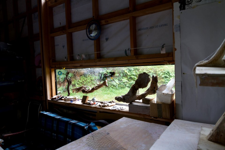 dharmamudra's real life aquarium