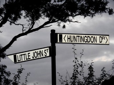 Sherwood Forest - almost.