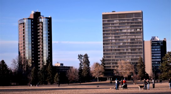 Late January in Denver's Cheesman Park