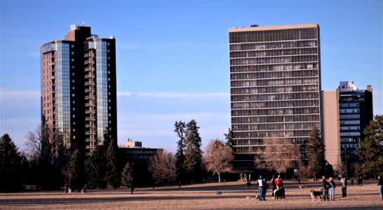 Late January in Denver's Cheesman Park photo