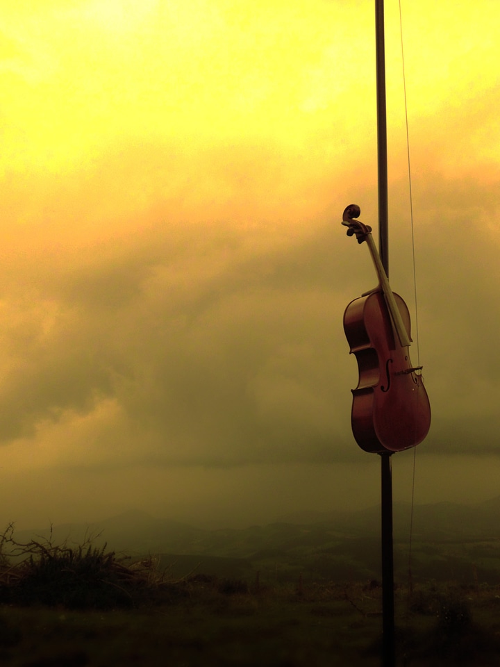 Rays street musicians sky