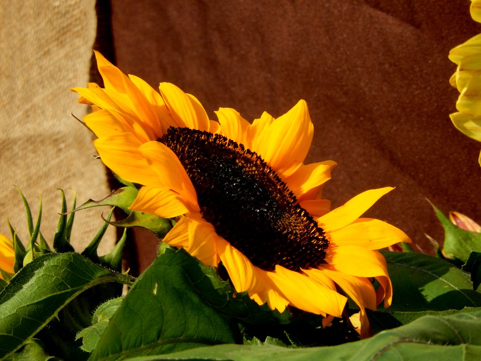 DSCN1338