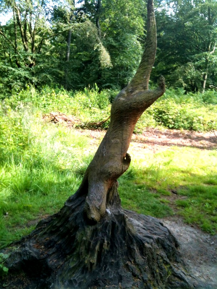 Tree carving Blaydon