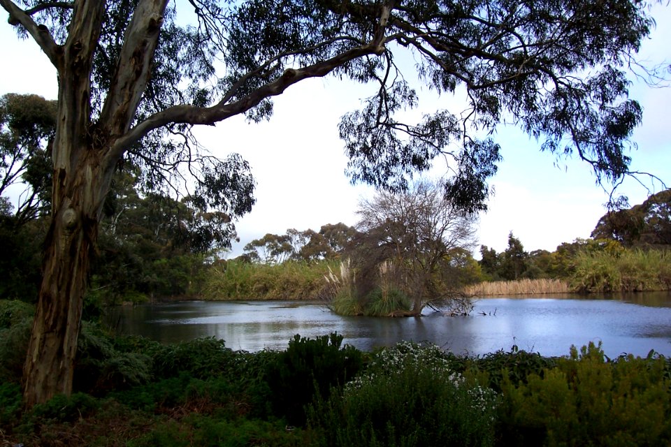 Wittunga Botanical Gardens