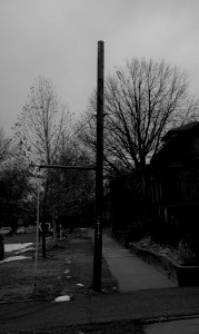 Both Sides of the Pole