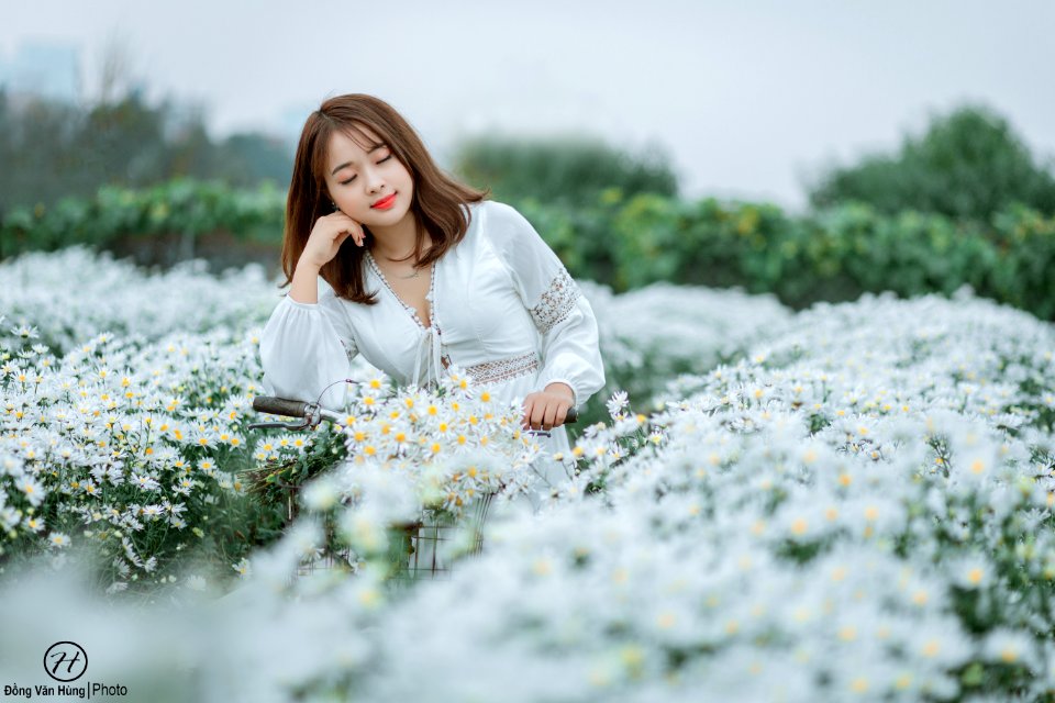 Đồng Văn Hùng; chụp ảnh cúc họa mi