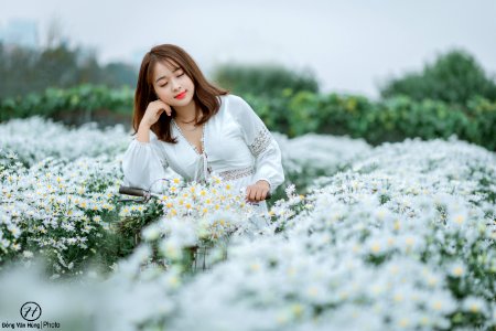 Đồng Văn Hùng; chụp ảnh cúc họa mi