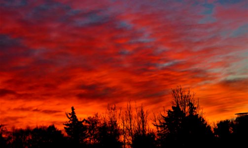 Fiery sunrise from my balcony photo