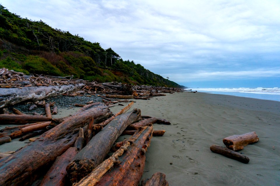 Olympic National Park