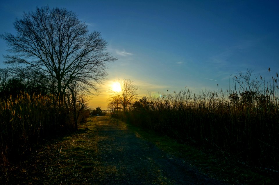 Terrapin Nature Park, Chesapeake Bay, Maryland